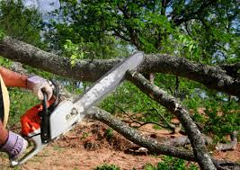 Lawn Irrigation Installation and Maintenance in Bayou Lourse, LA